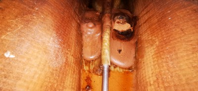 IMG_20190930_130902.jpg