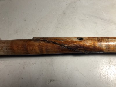 IMG_9445.jpg (1.36 MiB) 4204 mal betrachtet Oberseite