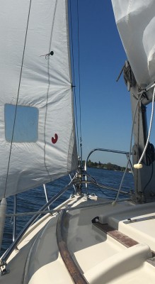 Fockfall-Strecker.JPG (589.51 KiB) 253785 mal betrachtet ...hier die Talje, gerade nicht sehr stramm um das Rigg zu schonen