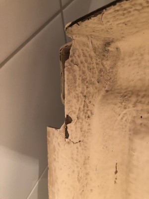 IMG_0597.jpg (1.72 MiB) 16801 mal betrachtet nochmals Innenseite mit Riss