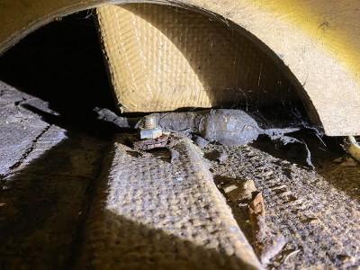 2.jpg (221.6 KiB) 36307 mal betrachtet Vor Ausbau