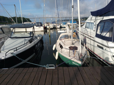 IMG_20220820_084557.jpg