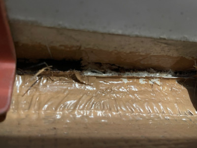 2026-04-25 02.10.28.jpg