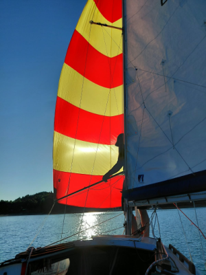 Spinnaker.png